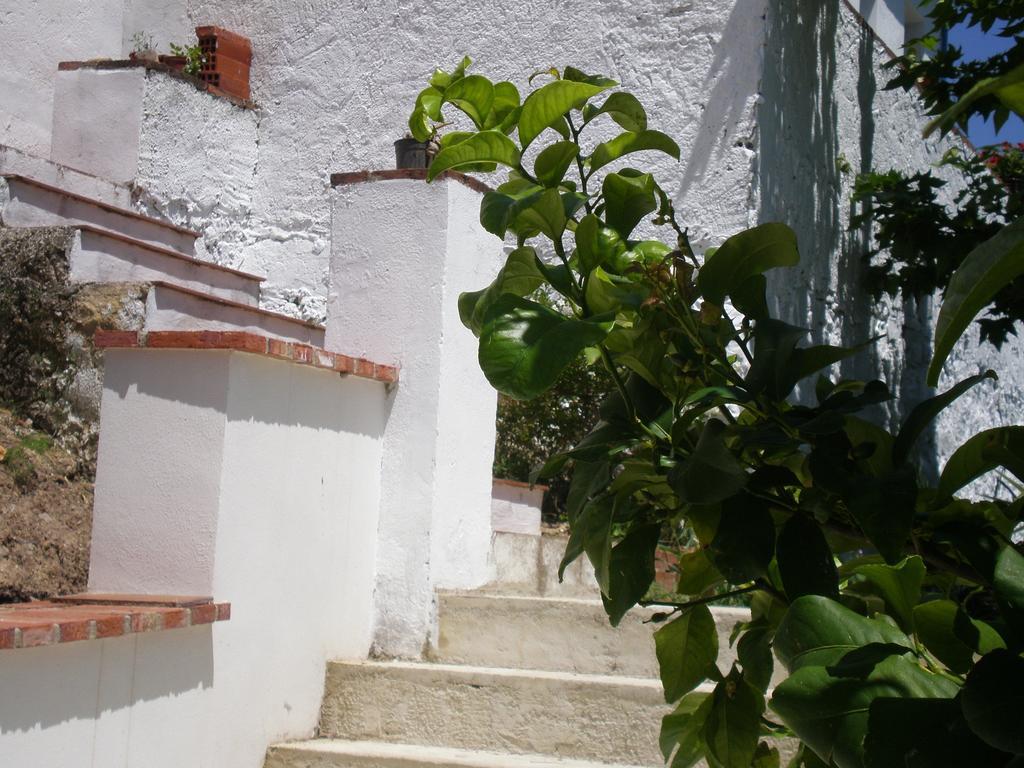 Rurales El Canuelo De